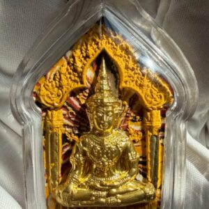 652109374 122122231191107702 3871262586784638982 n.jpg